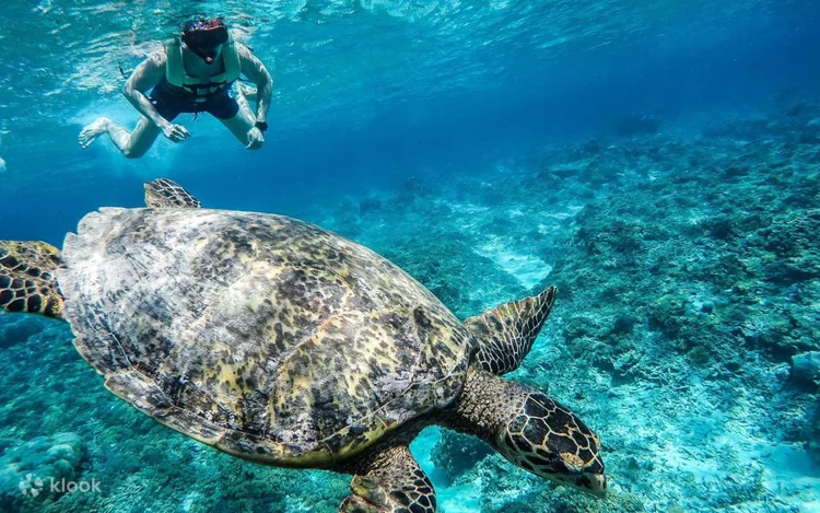 Lombok Adventure - Gili Trawangan Island